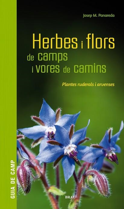 HERBES I FLORS DE CAMPS I VORES DE CAMINS | 9788418096082 | PANAREDA CLOPÉS, JOSEP M | Llibreria L'Odissea - Libreria Online de Vilafranca del Penedès - Comprar libros