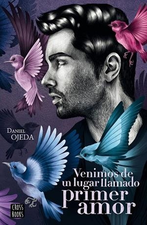 VENIMOS DE UN LUGAR LLAMADO PRIMER AMOR | 9788408224877 | OJEDA CHECA, DANIEL | Llibreria L'Odissea - Libreria Online de Vilafranca del Penedès - Comprar libros