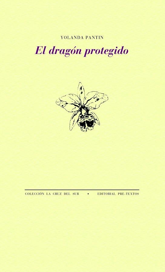 EL DRAGÓN PROTEGIDO | 9788418178788 | PANTIN, YOLANDA | Llibreria L'Odissea - Libreria Online de Vilafranca del Penedès - Comprar libros