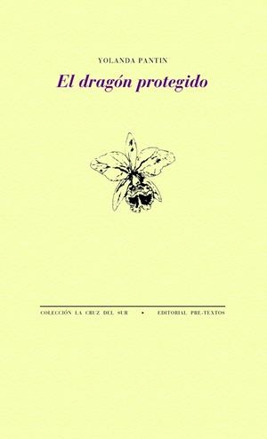 EL DRAGÓN PROTEGIDO | 9788418178788 | PANTIN, YOLANDA | Llibreria Online de Vilafranca del Penedès | Comprar llibres en català