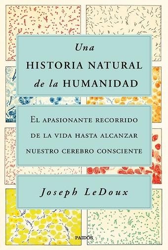 UNA HISTORIA NATURAL DE LA HUMANIDAD | 9788449338274 | LEDOUX, JOSEPH | Llibreria L'Odissea - Libreria Online de Vilafranca del Penedès - Comprar libros