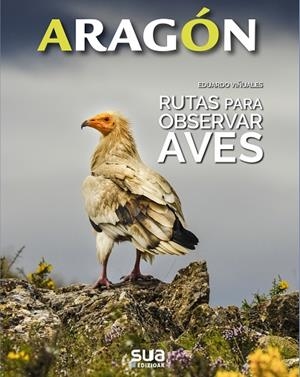 RUTAS PARA OBSERVAR AVES | 9788482167206 | VIÑUALES COBOS, EDUARDO | Llibreria L'Odissea - Libreria Online de Vilafranca del Penedès - Comprar libros
