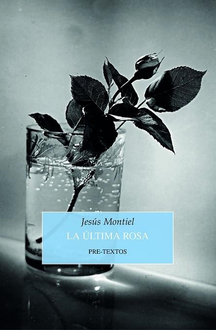 LA ÚLTIMA ROSA | 9788418178993 | MONTIEL, JESÚS | Llibreria L'Odissea - Libreria Online de Vilafranca del Penedès - Comprar libros