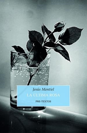 LA ÚLTIMA ROSA | 9788418178993 | MONTIEL, JESÚS | Llibreria Online de Vilafranca del Penedès | Comprar llibres en català