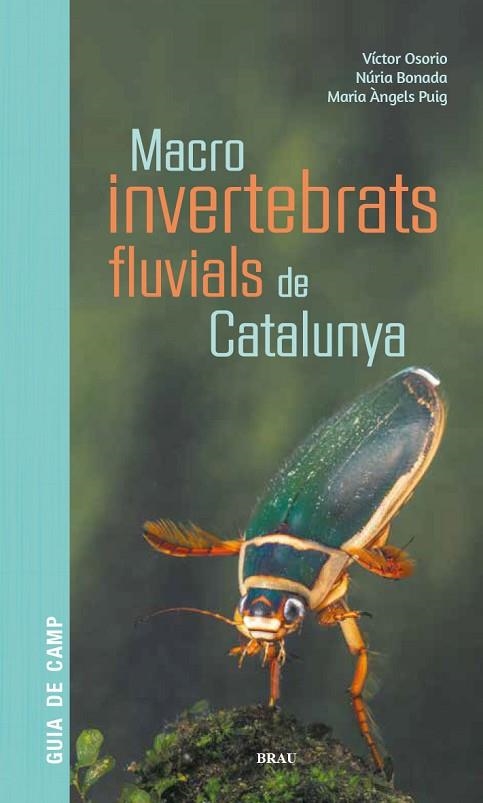 MACROINVERTEBRATS FLUVIALS DE CATALUNYA | 9788418096204 | OSORIO ÁLVAREZ, VÍCTOR/PUIG GARCÍA, M. ÁNGELES/BONADA CAPARRÓS, NÚRIA | Llibreria L'Odissea - Libreria Online de Vilafranca del Penedès - Comprar libros