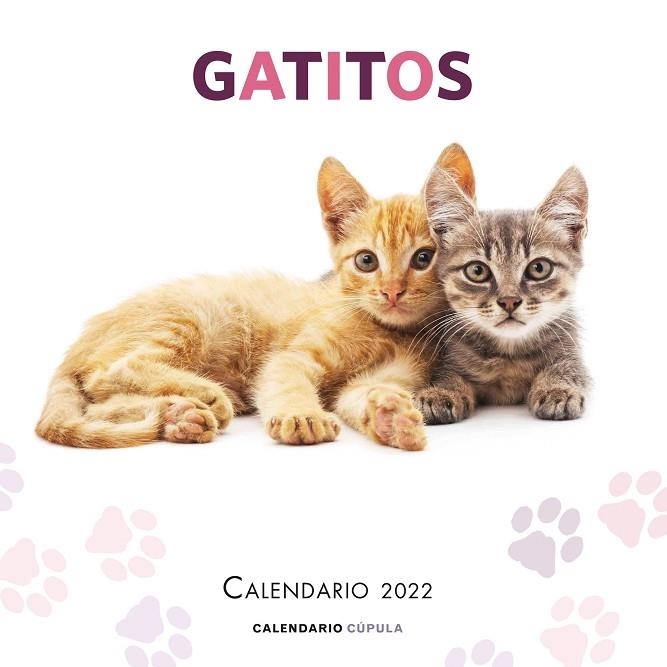CALENDARIO GATITOS 2022 | 9788448028695 | AA. VV. | Llibreria L'Odissea - Libreria Online de Vilafranca del Penedès - Comprar libros