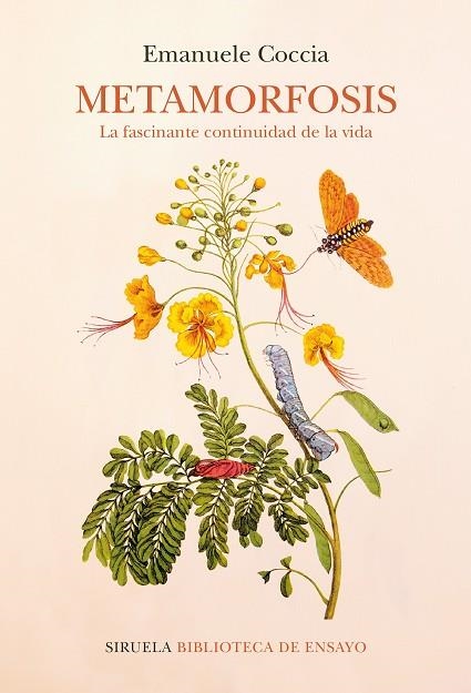 METAMORFOSIS | 9788418859052 | COCCIA, EMANUELE | Llibreria L'Odissea - Libreria Online de Vilafranca del Penedès - Comprar libros