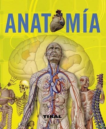 ANATOMÍA | 9788499280011 | RIGUTTI, ADRIANA | Llibreria L'Odissea - Libreria Online de Vilafranca del Penedès - Comprar libros