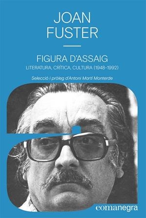 FIGURA D’ASSAIG | 9788418857027 | FUSTER ORTELLS, JOAN | Llibreria Online de Vilafranca del Penedès | Comprar llibres en català