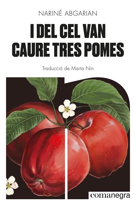 I DEL CEL VAN CAURE TRES POMES | 9788418857041 | ABGARIAN, NARINÉ | Llibreria Online de Vilafranca del Penedès | Comprar llibres en català