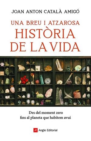 UNA BREU I ATZAROSA HISTÒRIA DE LA VIDA | 9788418197956 | CATALÀ AMIGÓ, JOAN ANTON | Llibreria L'Odissea - Libreria Online de Vilafranca del Penedès - Comprar libros