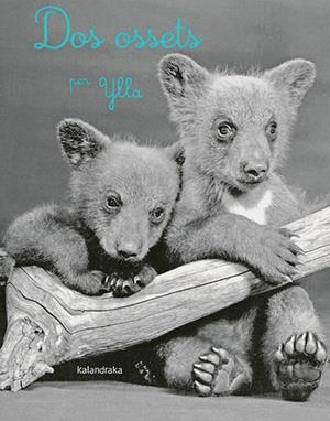 DOS OSSETS | 9788418558283 | KOFFLER, CAMILLA | Llibreria L'Odissea - Libreria Online de Vilafranca del Penedès - Comprar libros