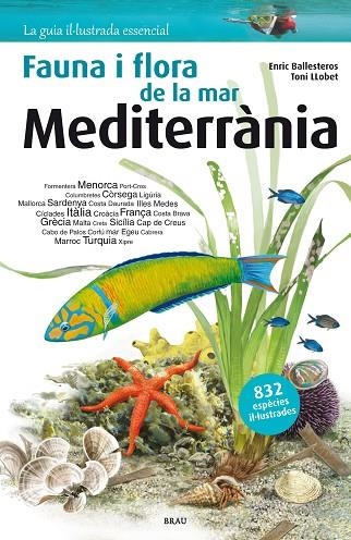 FLORA I FAUNA DE LA MAR MEDITERRÀNIA | 9788415885979 | BALLESTEROS SAGARRA, ENRIC | Llibreria L'Odissea - Libreria Online de Vilafranca del Penedès - Comprar libros