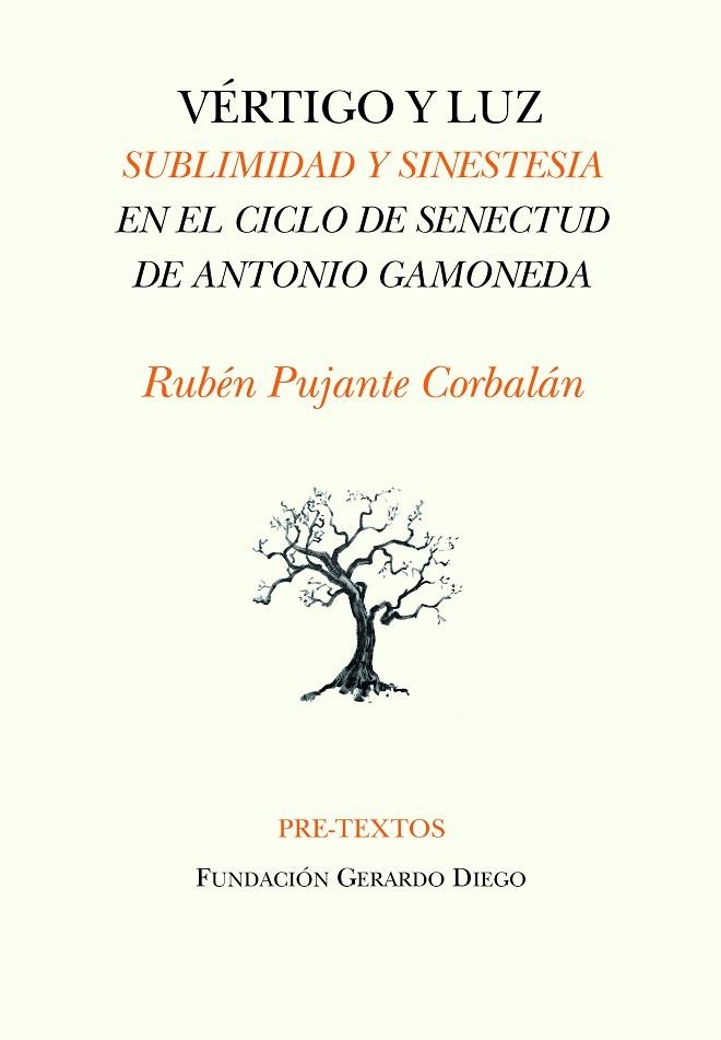 VÉRTIGO Y LUZ | 9788418935237 | PUJANTE CORBALÁN, RUBÉN | Llibreria L'Odissea - Libreria Online de Vilafranca del Penedès - Comprar libros