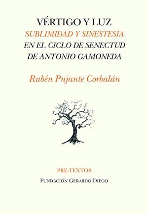 VÉRTIGO Y LUZ | 9788418935237 | PUJANTE CORBALÁN, RUBÉN | Llibreria Online de Vilafranca del Penedès | Comprar llibres en català