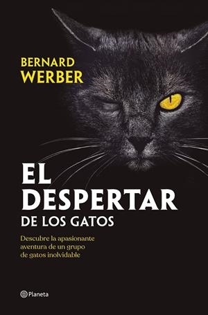 EL DESPERTAR DE LOS GATOS | 9788408251835 | WERBER, BERNARD | Llibreria L'Odissea - Libreria Online de Vilafranca del Penedès - Comprar libros