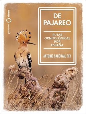 DE PAJAREO | 9788408251514 | SANDOVAL, ANTONIO | Llibreria Online de Vilafranca del Penedès | Comprar llibres en català