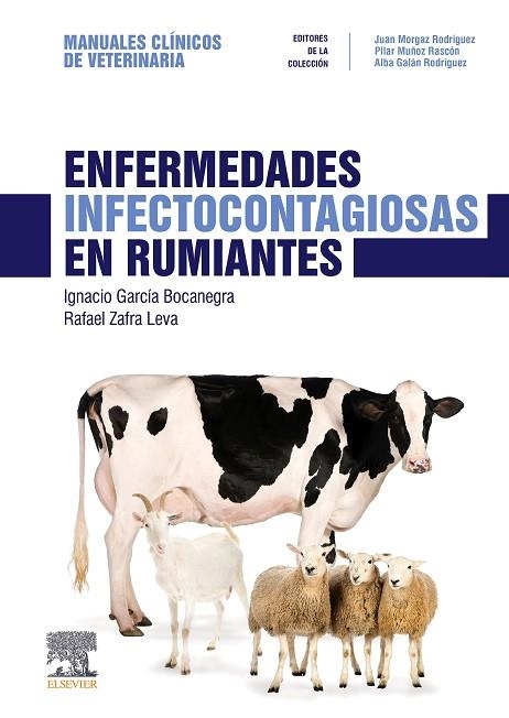 ENFERMEDADES INFECTOCONTAGIOSAS EN RUMIANTES | 9788491133537 | GARCÍA BOCANEGRA, IGNACIO | Llibreria L'Odissea - Libreria Online de Vilafranca del Penedès - Comprar libros