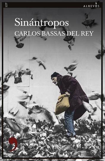 SINÁNTROPOS | 9788418584473 | BASSAS, CARLOS | Llibreria L'Odissea - Libreria Online de Vilafranca del Penedès - Comprar libros