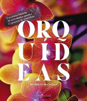 ORQUÍDEAS | 9788418882470 | BOUDASSOU, BÉNÉDICTE | Llibreria L'Odissea - Libreria Online de Vilafranca del Penedès - Comprar libros