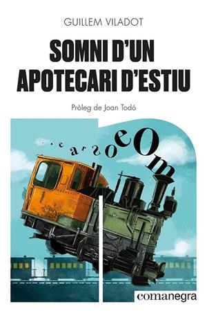 SOMNI D'UN APOTECARI D'ESTIU | 9788418857645 | VILADOT, GUILLEM | Llibreria L'Odissea - Libreria Online de Vilafranca del Penedès - Comprar libros