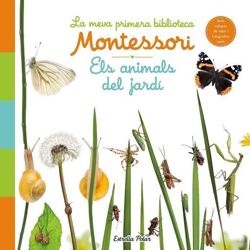 ELS ANIMALS DEL JARDÍ LA MEVA PRIMERA BIBLIOTECA MONTESSORI | 9788413890142 | AA. VV. | Llibreria L'Odissea - Libreria Online de Vilafranca del Penedès - Comprar libros