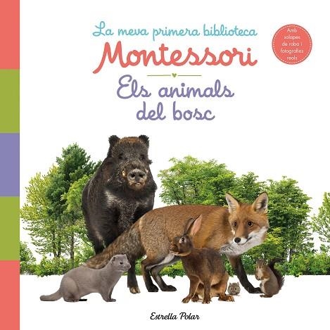 ELS ANIMALS DEL BOSC LA MEVA PRIMERA BIBLIOTECA MONTESSORI | 9788413890159 | AA. VV. | Llibreria L'Odissea - Libreria Online de Vilafranca del Penedès - Comprar libros