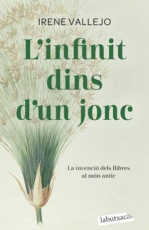 L'INFINIT DINS D'UN JONC | 9788419107121 | VALLEJO, IRENE | Llibreria Online de Vilafranca del Penedès | Comprar llibres en català