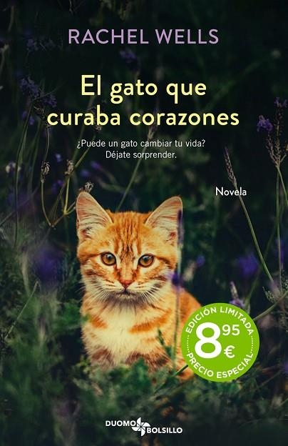 EL GATO QUE CURABA CORAZONES | 9788419004468 | WELLS, RACHEL | Llibreria L'Odissea - Libreria Online de Vilafranca del Penedès - Comprar libros