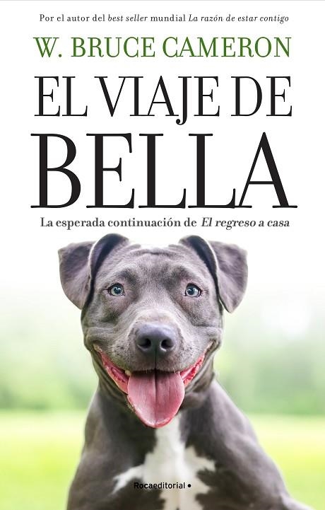 EL VIAJE DE BELLA EL REGRESO A CASA 2 | 9788418870224 | CAMERON, W. BRUCE | Llibreria L'Odissea - Libreria Online de Vilafranca del Penedès - Comprar libros