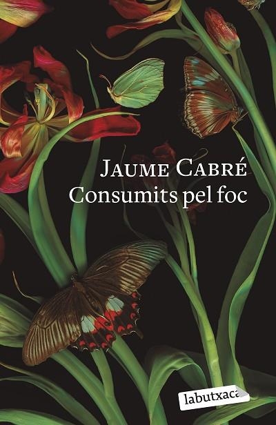 CONSUMITS PEL FOC | 9788419107206 | CABRÉ, JAUME | Llibreria L'Odissea - Libreria Online de Vilafranca del Penedès - Comprar libros