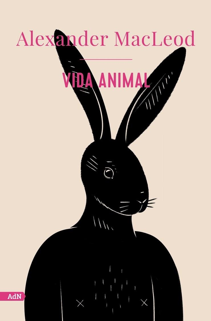 VIDA ANIMAL  | 9788413629520 | MACLEOD, ALEXANDER | Llibreria L'Odissea - Libreria Online de Vilafranca del Penedès - Comprar libros