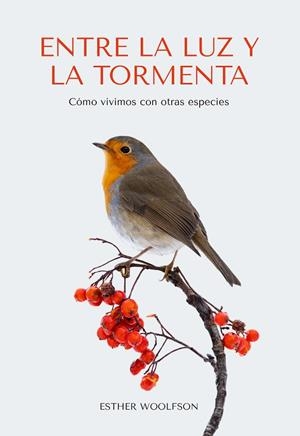 ENTRE LA LUZ Y LA TORMENTA | 9788412566338 | WOOLFSON, ESTHER | Llibreria L'Odissea - Libreria Online de Vilafranca del Penedès - Comprar libros