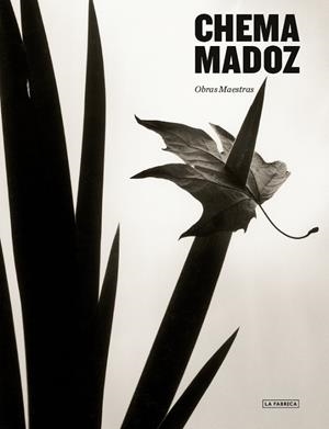CHEMA MADOZ. | 9788418934353 | MADOZ, CHEMA | Llibreria L'Odissea - Libreria Online de Vilafranca del Penedès - Comprar libros