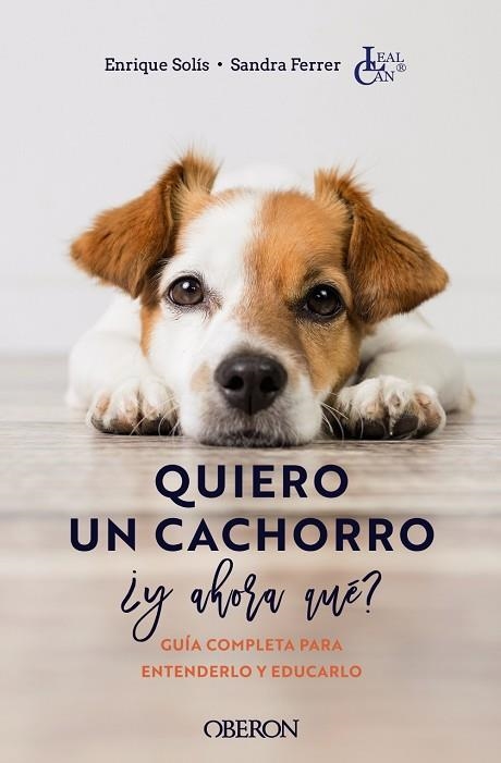 QUIERO UN CACHORRO Y AHORA QUÉ? | 9788441546561 | SOLÍS ÁLVAREZ, ENRIQUE/FERRER DE LUCAS, SANDRA | Llibreria Online de Vilafranca del Penedès | Comprar llibres en català