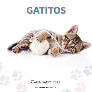 CALENDARIO GATITOS 2023 | 9788448029784 | AA. VV. | Llibreria L'Odissea - Libreria Online de Vilafranca del Penedès - Comprar libros