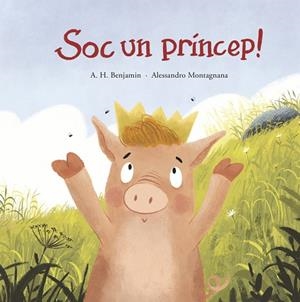 SOC UN PRÍNCEP! | 9788419253484 | BENJAMIN, A.H. | Llibreria Online de Vilafranca del Penedès | Comprar llibres en català