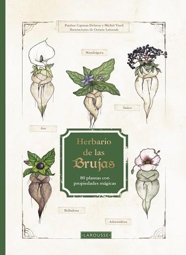 HERBARIO DE LAS BRUJAS | 9788419250926 | CAPMAS-DELARUE, PAULINE/VIARD, MICHEL | Llibreria L'Odissea - Libreria Online de Vilafranca del Penedès - Comprar libros