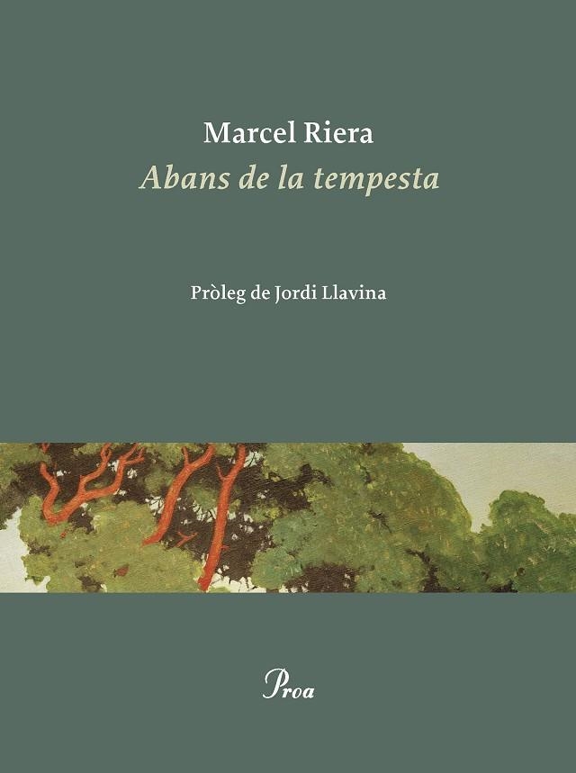 ABANS DE LA TEMPESTA | 9788475889900 | RIERA BOU, MARCEL | Llibreria Online de Vilafranca del Penedès | Comprar llibres en català