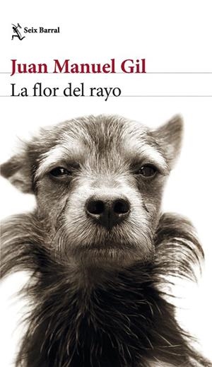 LA FLOR DEL RAYO | 9788432241574 | GIL, JUAN MANUEL | Llibreria Online de Vilafranca del Penedès | Comprar llibres en català