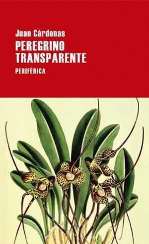 PEREGRINO TRANSPARENTE | 9788418838620 | CÁRDENAS, JUAN | Llibreria L'Odissea - Libreria Online de Vilafranca del Penedès - Comprar libros