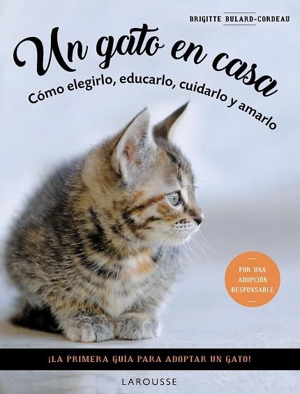 UN GATO EN CASA | 9788419436092 | BULARD-CORDEAU, BRIGITTE | Llibreria L'Odissea - Libreria Online de Vilafranca del Penedès - Comprar libros