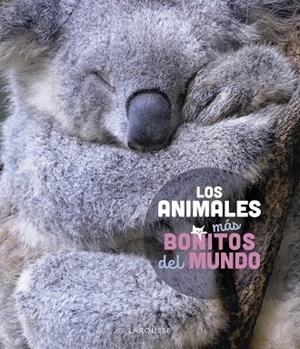 LOS ANIMALES MÁS BONITOS DEL MUNDO | 9788419436177 | LEDU, STÉPHANIE | Llibreria Online de Vilafranca del Penedès | Comprar llibres en català