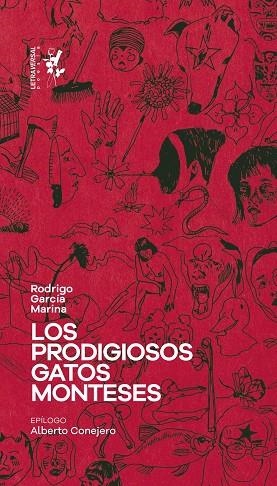 LOS PRODIGIOSOS GATOS MONTESES | 9788412640076 | GARCÍA MARINA, RODRIGO | Llibreria L'Odissea - Libreria Online de Vilafranca del Penedès - Comprar libros