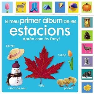 EL MEU PRIMER ÁLBUM DE LES ESTACIONS | 9788413492483 | SIRETT, DAWN | Llibreria L'Odissea - Libreria Online de Vilafranca del Penedès - Comprar libros