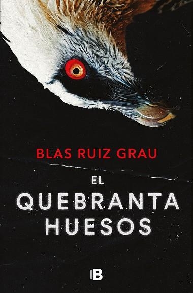 EL QUEBRANTAHUESOS NICOLÁS VALDÉS 4 | 9788466673600 | RUIZ GRAU, BLAS | Llibreria L'Odissea - Libreria Online de Vilafranca del Penedès - Comprar libros