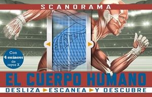 SCANORAMA EL CUERPO HUMANO | 9788469667620 | CLAYBOURNE, ANNA | Llibreria L'Odissea - Libreria Online de Vilafranca del Penedès - Comprar libros