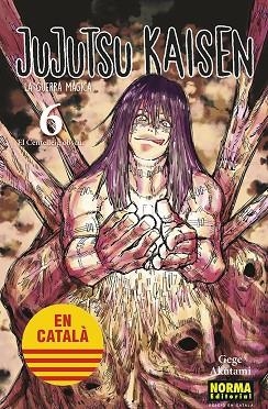 JUJUTSU KAISEN 06 CATALA | 9788467957600 | AKUTAMI, GEGE | Llibreria L'Odissea - Libreria Online de Vilafranca del Penedès - Comprar libros