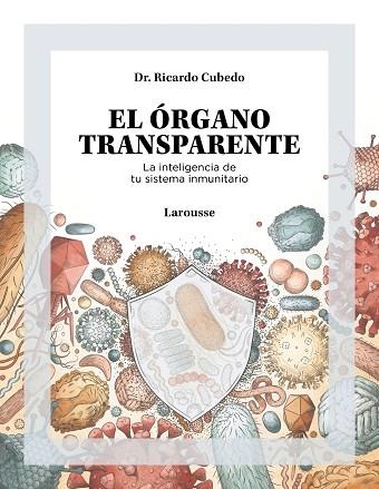 EL ÓRGANO TRANSPARENTE LA INTELIGENCIA DE TU SISTEMA INMUNITARIO | 9788419250506 | CUBEDO, DR. RICARDO | Llibreria Online de Vilafranca del Penedès | Comprar llibres en català