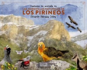 CUADERNO DE MONTAÑA DE LAS MARAVILLAS NATURALES DE LOS PIRINEOS | 9788491586036 | VIÑUALES COBOS, EDUARDO | Llibreria L'Odissea - Libreria Online de Vilafranca del Penedès - Comprar libros